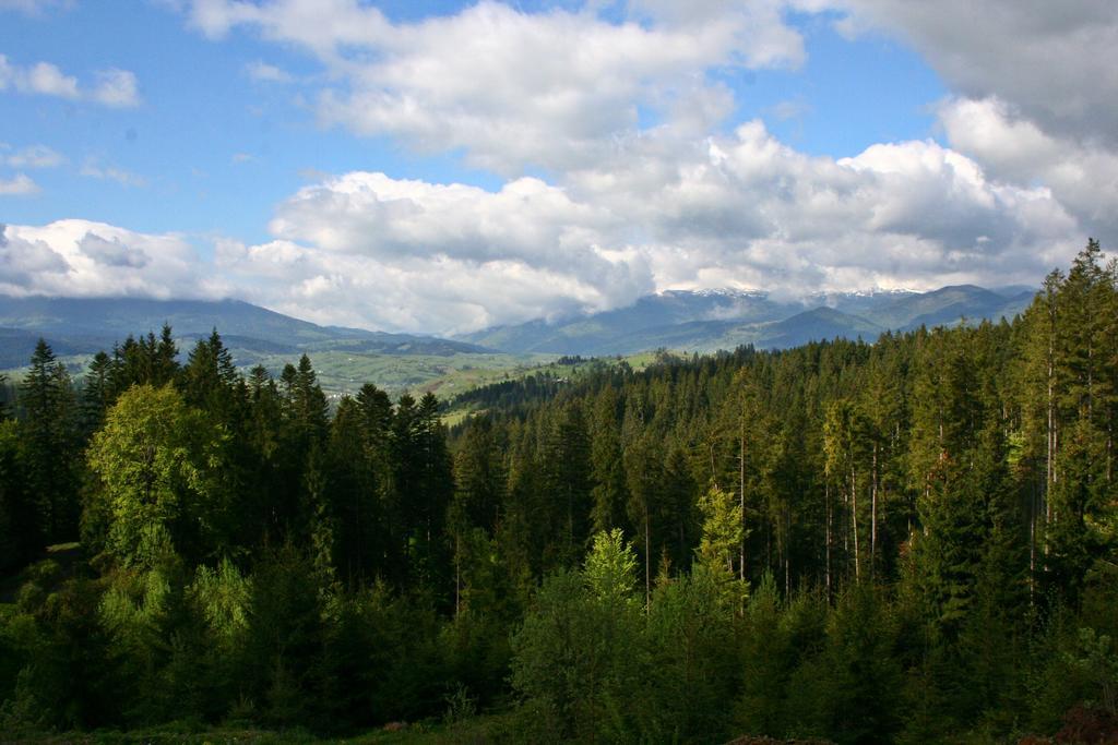 Hotel Hoch Land Yablunytsya Esterno foto